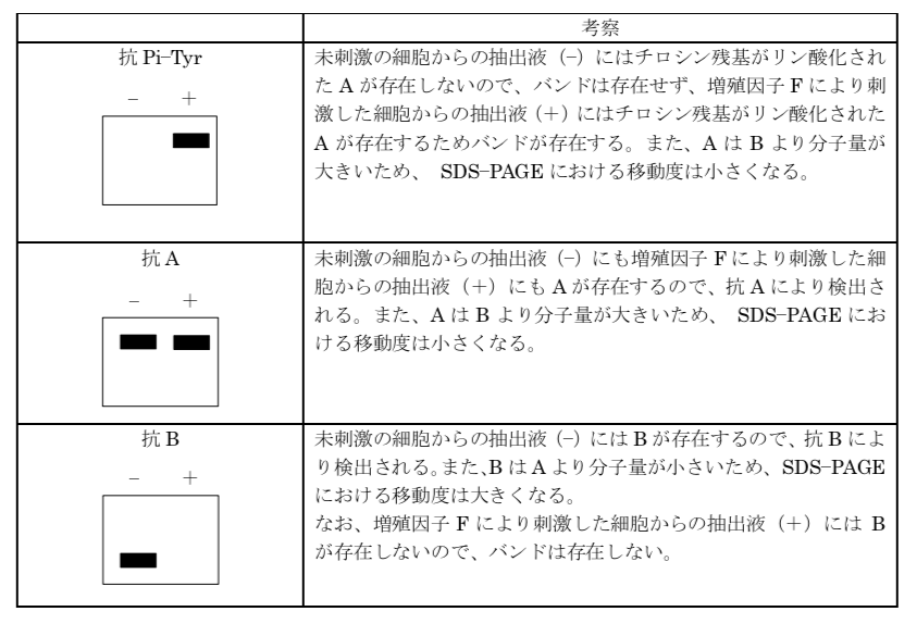 解説画像